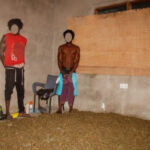 3 Arrested in Volta Cannabis Hub Raid