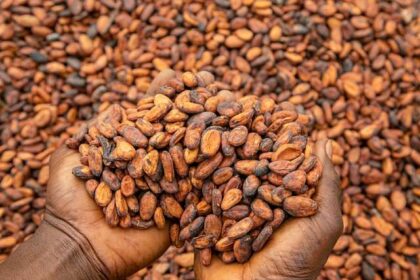 Cocoa