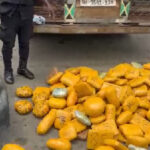 Two arrested for allegedly offering police commander bribe
